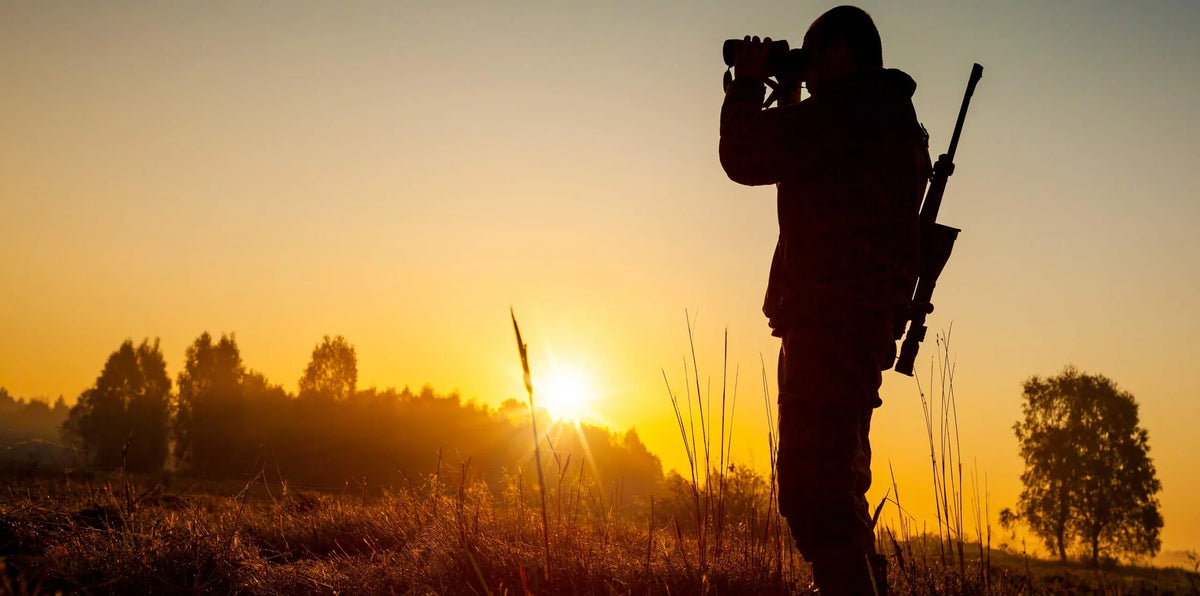 Hunter glassing a field at sunrise with a rifle slung