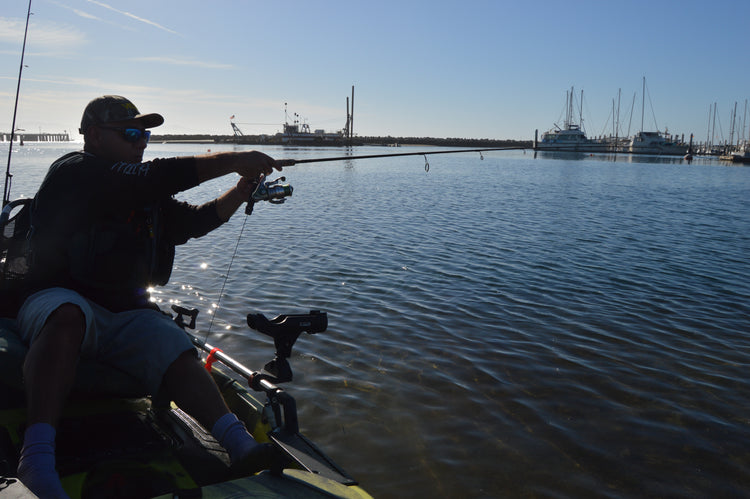 Subscribe to our newsletter