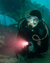 Focus on the dive, not my gear