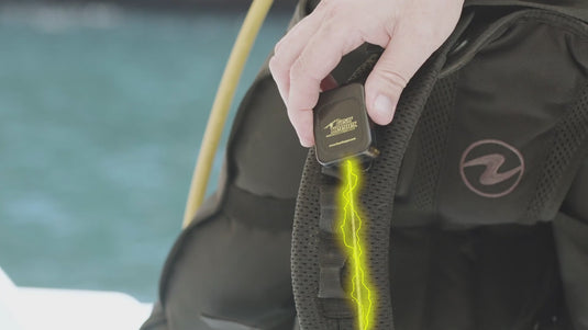 SCUBA Flashlight and Camera Retractors